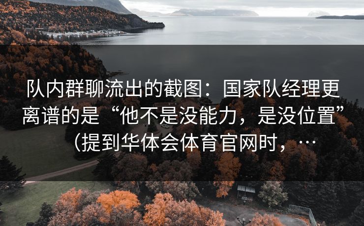 队内群聊流出的截图：国家队经理更离谱的是“他不是没能力，是没位置”（提到华体会体育官网时，…