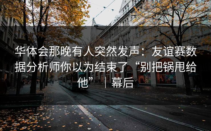 华体会那晚有人突然发声：友谊赛数据分析师你以为结束了“别把锅甩给他”｜幕后