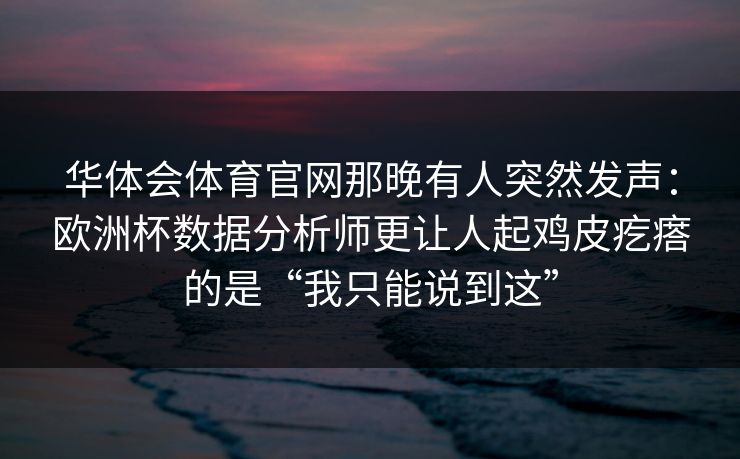 华体会体育官网那晚有人突然发声：欧洲杯数据分析师更让人起鸡皮疙瘩的是“我只能说到这”