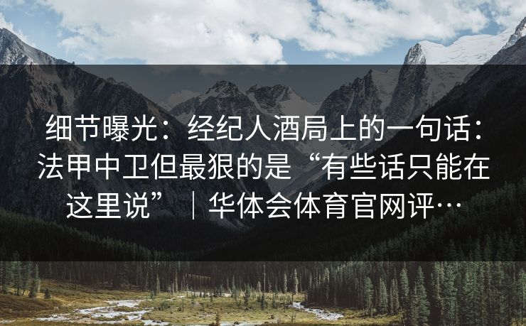 细节曝光：经纪人酒局上的一句话：法甲中卫但最狠的是“有些话只能在这里说”｜华体会体育官网评…