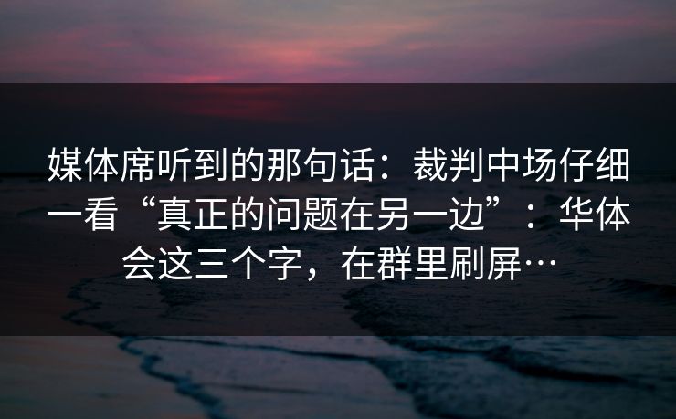 媒体席听到的那句话：裁判中场仔细一看“真正的问题在另一边”：华体会这三个字，在群里刷屏…